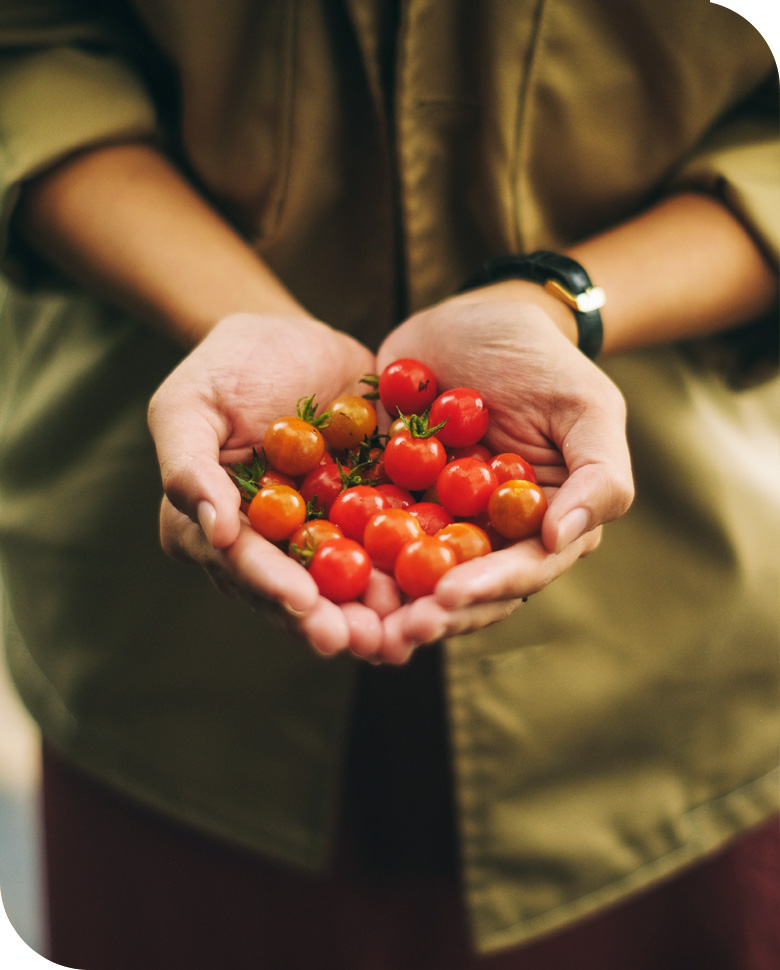 pomodori